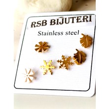 RSBbijuteri Küpe çivi altın kaplama 316 L çelik 6'lı + hediye paketi