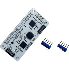 Sunshinee Sıfır W 0W 2W 3b+ 4b 4b+ Için Dubleks Mmdvm Hotspot Kartı Uhf Vhf Dahili Anten Desteği P25 (Yurt Dışından)