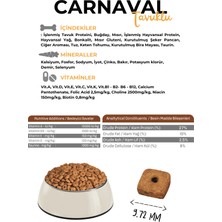 Carnaval Tavuklu Yetişkin Kedi Maması 30Kg (2x15Kg)