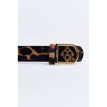 Di Leopar Kemer
