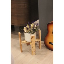 Tree Soul Saksı Altlığı - Saksı Standı