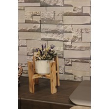Tree Soul Saksı Altlığı - Saksı Standı