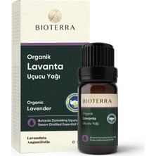 Bioterra Organik Lavanta Uçucu Yağı 5 ml