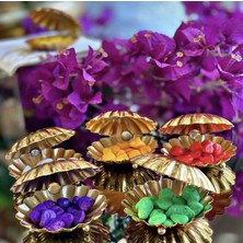 6'lı Gold,metal Midye Model Lokumluk