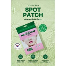 Cica Içeren Akne Bandı 40 Adet Lebelage Cica Derma Spot Patch 40 Pcs