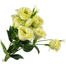 Beyaz Buket Yapay Çiçek 51CM
