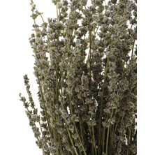 Dekorsende Kurutulmuş Lavanta Demeti