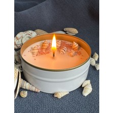 Nish Candles Deniz Kabuğu Süslemeli Metal Kutuda Kokulu Soya Mumu
