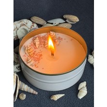 Nish Candles Deniz Kabuğu Süslemeli Metal Kutuda Kokulu Soya Mumu