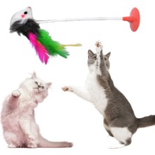 Hubjua Royal Kedi Fare Oyuncağı Vantuzlu