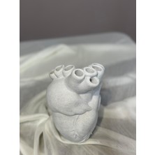Anatomik Kalpli Vazo 18 cm