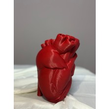 Nkateiler Anatomik Kalp Vazo 18 cm