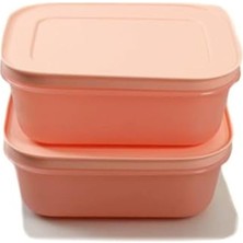 Byrshtm Tupperware Dondurucu Kabı 450 ml (2) Pembe Düz Buz Kristali Buz Kristali Byrnew