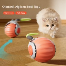 Yonina Pet Elektrikli Akıllı Indüksiyon Topu (Yurt Dışından)