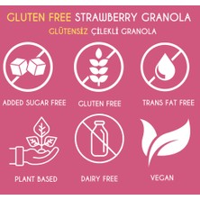 Ladin Çilekli Granola 240 gr