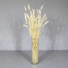 Dekorsende Kurutulmuş Lagurus Demeti Beyaz