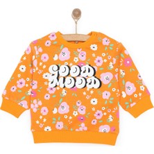 Hellobaby Basic Az Şardonlu Aslan Desenli Sweatshirt Kız Bebek