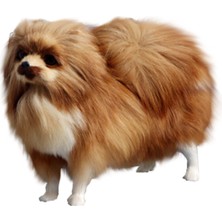 Intl Join Simülasyon Modeli Simülasyon Pomeranian Köpek Modeli Oyuncaklar (Yurt Dışından)