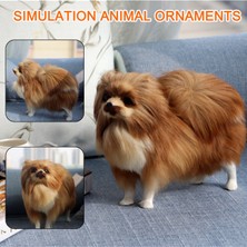 Intl Join Simülasyon Modeli Simülasyon Pomeranian Köpek Modeli Oyuncaklar (Yurt Dışından)