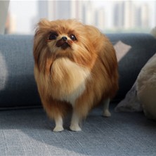 Intl Join Simülasyon Modeli Simülasyon Pomeranian Köpek Modeli Oyuncaklar (Yurt Dışından)