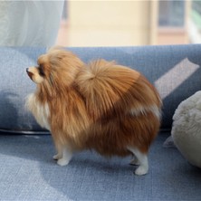 Intl Join Simülasyon Modeli Simülasyon Pomeranian Köpek Modeli Oyuncaklar (Yurt Dışından)