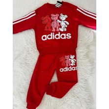 Cg Kids 3 Ayı Baskı Yanlar Şeritli Erkek&kız Çocuk Eşofman Takım