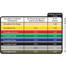 Thera-Band  Professional Resistance Tubing 1.4 mt With Hard Pvc Direnç Lastiği Kırmızı