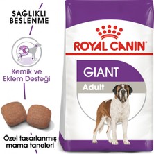 Royal Canin Giant Adult Köpek Maması - 15 Kg