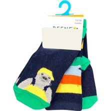 Defne Baby 3lü Bebek Çorabı E021-22