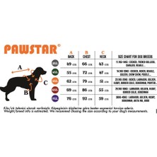 Pawstar Siyah Çizgili Orta ve Büyük Irk Köpek Pijaması - Köpek Tulumu - Köpek Kıyafeti (15 kg-45 kg)