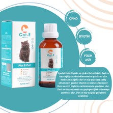 Amica Cat-E Plus B Damla & Fish Oil & Calming Damla