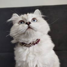 Lady Fify Kedi Köpek Için Sarmaşık Kristal Bordo Kolye / Takı