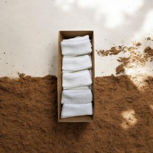 Soy Group Bebek Çorap 5'li