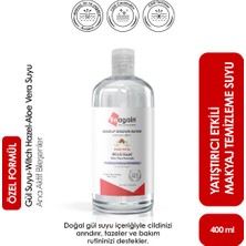 Reagain Gül Suyu, Witch Hazel Ve Aloe Vera Micellar Kusursuz Makyaj Temizleme Suyu (400 ML)