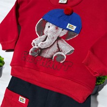 Cansın Baby Renk Seçenekli Ponpon Fileli Şapkalı Fil Detaylı Elephant Yazılı Baskılı Bebek Çocuk Eşofman Takımı