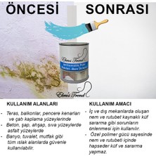 EBRUS TREND  RUTUBET VE NEM ÖNLEYİCİ 1 KG-Beyaz
