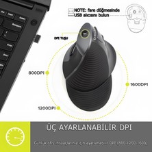 Delux M618GX Dikey 6 Tuşlu Kablosuz Optik Mouse