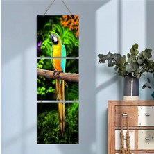 Durusoy Shop Center Ahşap Katlanabilir 3lü Tablo - TBL0028