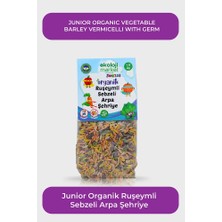 Organik Ruşeymli SEBZELIARPAŞEHRIYE250GR12PAKET Organic Vermicelli VEGETABLEBARLEYNOODLE250GR12PACK