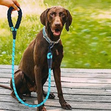 Robinanka Reflektörlü Fosforlu Köpek Gezdirme Halatı Tasma Kayışı Metal Kancalı 130 cm