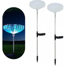 Powermaster PM-21643 Solar Ledli 7 Renk Değiştiren Bahçe Dekorasyon Aydınlatma 2li Paket