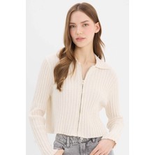 DeFacto Slim Fit Dar Kesim Polo Yaka Fermuarlı Triko Hırka E4030AX25SP