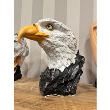 Dev Kartal Başı, Kara Kartal Heykeli, Büst, Dekoratif Obje