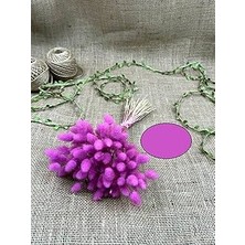 Esse Bahçe Pamuk Otu Eflatun 1 Demet 80-90 Dal