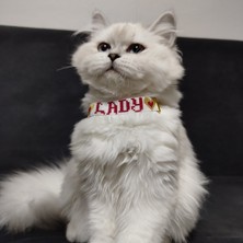 Lady Fify Kedi Köpek Için Orijinal Miyuki Boncuklu Özelleştirilebilir Isimli Kolye / Takı