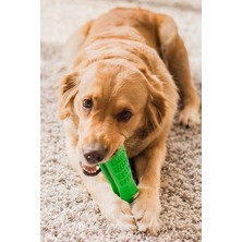 Küçük Boy Köpek Diş Fırçası Isırma Aparatı, Diş Kaşıma Oyuncağı, Küçük Evcil Hayvan Için