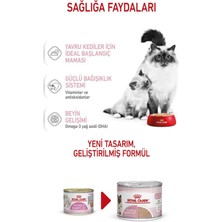 Mother And Baby Cat Yavru Kedi ve Hamile Kediler Için Konserve 195 x 4 Adet