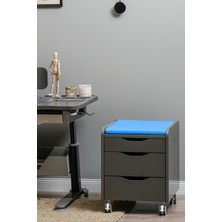 Creo Mobili Anaokulu Çocuk Kesonu Tekerlekli ve Oturulabilir - Taşıma kap. 100kg, Antrasit/Mavi - Sirius