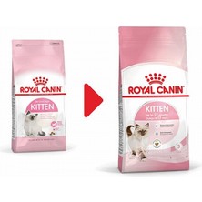 Royal Canin Kitten Yavru Kedi Maması 10 Kg