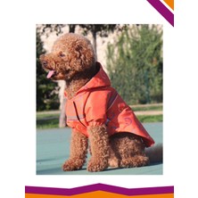 Tarpaws Yağmurluk Köpek Smileys Desenli Kıyafet Mont